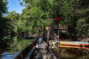 LA RIVIERE KOUROU AU MILIEU DE LA CANOPEE DE LA FORET AMAZONIENNE, GUYANE FRANCAISE, DEPARTEMENT-REGION D'OUTRE-MER, AMERIQUE DU SUD, FRANCE 