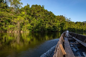 NAVIGATION EN PIROGUE SUR LA RIVIERE KOUROU AU COEUR DE LA FORET AMAZONIENNE, GUYANE FRANCAISE, DEPARTEMENT-REGION D'OUTRE-MER, AMERIQUE DU SUD, FRANCE 