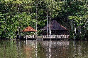 CARBET EN FORET AMAZONIENNE SUR LA RIVIERE COMTE, GUYANE FRANCAISE, DEPARTEMENT-REGION D'OUTRE-MER, AMERIQUE DU SUD, FRANCE 