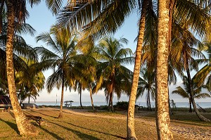 LES HATTES, PLAGE DE SABLE DU NORD A L'EMBOUCHURE DU MARONI, VILLAGE AMERINDIEN DE AWARA, RESERVE NATURELLE DE L'AMANA, COMMUNE DE MANA, GUYANE FRANCAISE, DEPARTEMENT-REGION D'OUTRE-MER, AMERIQUE DU SUD, FRANCE 