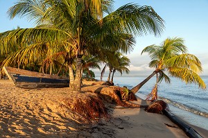 LES HATTES, PLAGE DE SABLE DU NORD A L'EMBOUCHURE DU MARONI, VILLAGE AMERINDIEN DE AWARA, RESERVE NATURELLE DE L'AMANA, COMMUNE DE MANA, GUYANE FRANCAISE, DEPARTEMENT-REGION D'OUTRE-MER, AMERIQUE DU SUD, FRANCE 