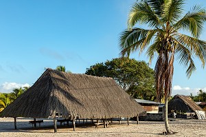 CARBET TRADITIONNEL EN BOIS DUR (AWARA) RECOUVERT DE FEUILLES DE PALMIERS POUR LES REUNIONS DE FAMILLE DU VILLAGE AMERINDIEN DE AWARA, RESERVE NATURELLE DE L'AMANA, COMMUNE DE MANA, GUYANE FRANCAISE, DEPARTEMENT-REGION D'OUTRE-MER, AMERIQUE DU SUD, FRANCE 