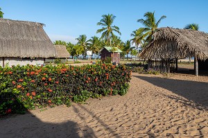 CARBET TRADITIONNEL EN BOIS DUR (AWARA) RECOUVERT DE FEUILLES DE PALMIERS POUR LES REUNIONS DE FAMILLE DU VILLAGE AMERINDIEN DE AWARA, RESERVE NATURELLE DE L'AMANA, COMMUNE DE MANA, GUYANE FRANCAISE, DEPARTEMENT-REGION D'OUTRE-MER, AMERIQUE DU SUD, FRANCE 