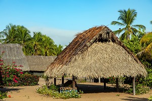 CARBET TRADITIONNEL EN BOIS DUR (AWARA) RECOUVERT DE FEUILLES DE PALMIERS POUR LES REUNIONS DE FAMILLE DU VILLAGE AMERINDIEN DE AWARA, RESERVE NATURELLE DE L'AMANA, COMMUNE DE MANA, GUYANE FRANCAISE, DEPARTEMENT-REGION D'OUTRE-MER, AMERIQUE DU SUD, FRANCE 