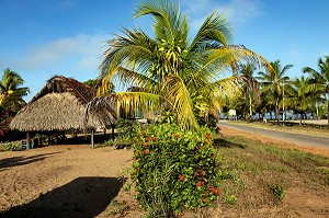 CARBET TRADITIONNEL EN BOIS DUR (AWARA) RECOUVERT DE FEUILLES DE PALMIERS POUR LES REUNIONS DE FAMILLE DU VILLAGE AMERINDIEN DE AWARA, RESERVE NATURELLE DE L'AMANA, COMMUNE DE MANA, GUYANE FRANCAISE, DEPARTEMENT-REGION D'OUTRE-MER, AMERIQUE DU SUD, FRANCE 