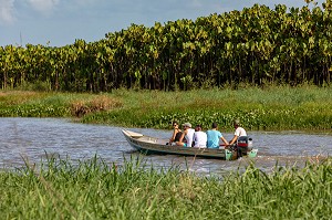 BATEAU DE TOURISTE SUR LE MARAIS DE KAW, ROURA, GUYANE FRANCAISE, DEPARTEMENT-REGION D'OUTRE-MER, AMERIQUE DU SUD, FRANCE 