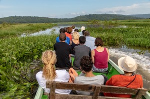 BALADE EN PIROGUE DANS LA RESERVE NATURELLE DU MARAIS DE KAW, ROURA, GUYANE FRANCAISE, DEPARTEMENT-REGION D'OUTRE-MER, AMERIQUE DU SUD, FRANCE 