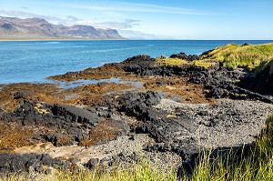 PLAGE DE ROCHES NOIRES VOLCANIQUES, PRESQU'ILE VOLCANIQUE VDE GRUNDARFJORDUR, PENINSULE DE SNAEFFELSNES, BUDIR, ISLANDE 