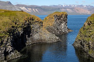 FALAISES DE ROCHES VOLCANIQUES NOIRES, PRESQU'ILE VOLCANIQUE DE GRUNDARFJORDUR, PENINSULE DE SNAEFFELSNES, ARNARSTAPI, ISLANDE 