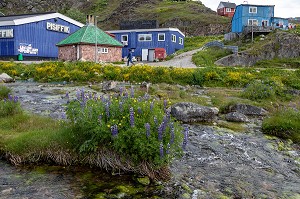 SUPERMARCHE LE PISIFFIK, VILLE DE QAQORTOQ, GROENLAND, DANEMARK 