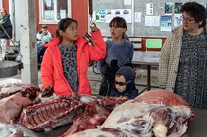 FAMILLE DEVANT UN ETAL DE BOEUF MUSQUE AU MARCHE AU VIANDE, VILLE DE QAQORTOQ, GROENLAND, DANEMARK 