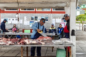 BOUCHER DECOUPANT DES CARCASSES DE BOEUF MUSQUE AU MARCHE AU VIANDE, VILLE DE QAQORTOQ, GROENLAND, DANEMARK 