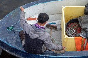 PECHEUR SUR LE FJORD, VILLE DE QAQORTOQ, GROENLAND, DANEMARK 