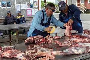 BOUCHER DECOUPANT DES CARCASSES DE BOEUF MUSQUE ET DE RENES, MARCHE A LA VIANDE, VILLE DE QAQORTOQ, GROENLAND, DANEMARK 