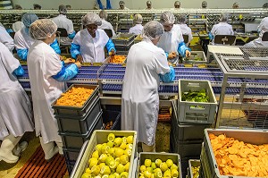 PREPARATION MANUELLE DES AGRUMES ET LEGUMES (CAROTTES ET CITRONS) POUR LA MISE EN BOITE DES SARDINES, CONSERVERIE LA BELLE-ILOISE, QUIBERON, MORBIHAN (56), FRANCE 