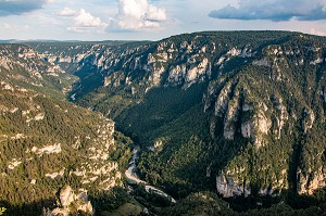 POINT SUBLIME, VUE SUR LE PANORAMA DES GORGES DU TARN SUR LE CAUSSE DE SAUVETERRE, CIRQUE DES BAUMES, LOZERE (48), FRANCE1 