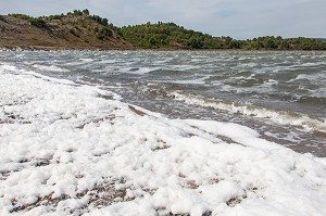 ECUME DU MARAIS SALANT DE L'ETANG DU DOUL, PEYRIAC-SUR-MER, AUDE (11), FRANCE 