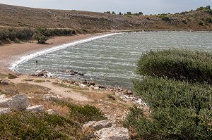 PLAGE DE L'ETANG DU DOUL, PEYRIAC-SUR-MER, AUDE (11), FRANCE 