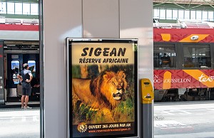AFFICHE DU LION DE LA RESERVE AFRICAINE DE SIGEAN DANS LE HALL DE LA GARE, PERPIGNAN (66), FRANCE 