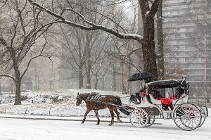 CALECHE DANS CENTRAL PARK UN JOUR DE NEIGE, MANHATTAN, NEW-YORK, ETATS-UNIS, USA 