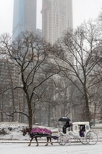 CALECHE DANS CENTRAL PARK UN JOUR DE NEIGE, MANHATTAN, NEW-YORK, ETATS-UNIS, USA 