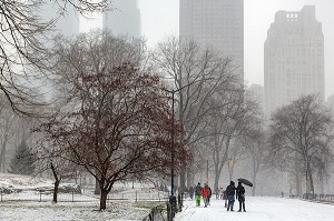 BALADE EN FAMILLE, CENTRAL PARK UN JOUR DE NEIGE, MANHATTAN, NEW-YORK, ETATS-UNIS, USA 