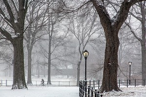 BALADE A VELO, CENTRAL PARK UN JOUR DE NEIGE, MANHATTAN, NEW-YORK, ETATS-UNIS, USA 