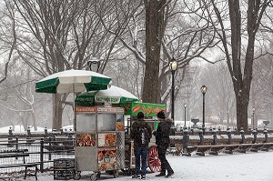 STAND AMBULANT DE HOT DOG ET FRIANDISES, CENTRAL PARK UN JOUR DE NEIGE, MANHATTAN, NEW-YORK, ETATS-UNIS, USA 