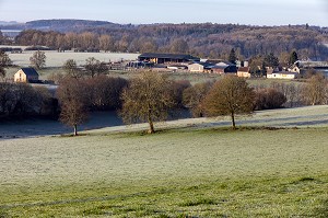 FERME DANS LA CAMPAGNE PERCHERONNE AU PETIT MATIN, MOULIN-LA-MARCHE (61), PERCHE, FRANCE 