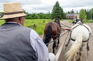 ATTELAGE D'EPOQUE POUR LES TRAVAUX A LA FERME ET LES DEPLACEMENTS, KINGS LANDING, VILLAGE HISTORIQUE ANGLOPHONE, PAROISSE DE PRINCE-WILLIAM, FREDERICTON, NOUVEAU-BRUNSWICK, CANADA, AMERIQUE DU NORD 