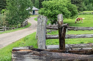 ABREUVOIR EN BOIS POUR LES ANIMAUX, KINGS LANDING, VILLAGE HISTORIQUE ANGLOPHONE, PAROISSE DE PRINCE-WILLIAM, FREDERICTON, NOUVEAU-BRUNSWICK, CANADA, AMERIQUE DU NORD 