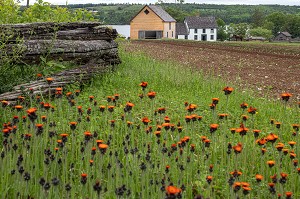 FERME JOSLIN, KINGS LANDING, VILLAGE HISTORIQUE ANGLOPHONE, PAROISSE DE PRINCE-WILLIAM, FREDERICTON, NOUVEAU-BRUNSWICK, CANADA, AMERIQUE DU NORD 