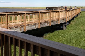 PASSERELLE EN BOIS AU DESSUS DES MARAIS SALANTS POUR REJOINDRE LA PLAGE, PARC NATIONAL DE KOUCHIBOUGUAC, NOUVEAU-BRUNSWICK, CANADA, AMERIQUE DU NORD 