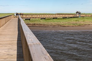 PASSERELLE EN BOIS AU DESSUS DES MARAIS SALANTS POUR REJOINDRE LA PLAGE, PARC NATIONAL DE KOUCHIBOUGUAC, NOUVEAU-BRUNSWICK, CANADA, AMERIQUE DU NORD 