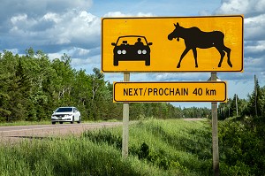 PANNEAU DE SIGNALISATION PREVENANT DE LA TRAVERSEE POSSIBLE D'ORIGNAL SUR LA ROUTE, NOUVEAU-BRUNSWICK, CANADA, AMERIQUE DU NORD 