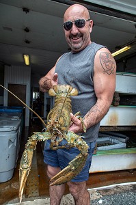 STEVE BEZEAU AVEC UN GROS HOMARD, LA TERRASSE DE STEVE, ILE DE MISCOU, NOUVEAU-BRUNSWICK, CANADA, AMERIQUE DU NORD 