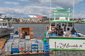 DEBARQUE DES HOMARDS SUR LE PORT DE MISCOU AVEC LE BATEAU MON HIRONDELLE, ILE MISCOU, NOUVEAU-BRUNSWICK, CANADA, AMERIQUE DU NORD 