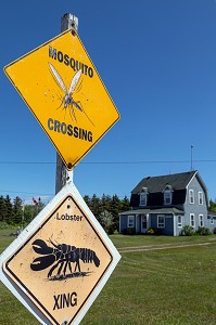 PANNEAUX HUMORISTIQUES POUR SIGNALER LA TRAVERSEE DE HOMARDS ET DE MOUSTIQUES, ILE DE MISCOU, NOUVEAU-BRUNSWICK, CANADA, AMERIQUE DU NORD 