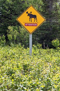 PANNEAU SIGNALANT LA PRESENCE D'ORIGNAL, POTENTIELLEMENT DANGEREUX, ILE MISCOU, NOUVEAU-BRUNSWICK, CANADA, AMERIQUE DU NORD 