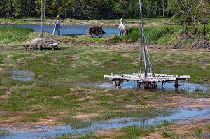 ENTREE DU SITE, TRAVAIL DANS LES MARAIS, VILLAGE HISTORIQUE ACADIEN, BERTRAND, NOUVEAU-BRUNSWICK, CANADA, AMERIQUE DU NORD 