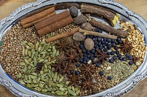 LES DIFFERENTS CONDIMENTS AROMATIQUES POUR PARFUMER LES ALCOOLS DE LA DISTILLERIE FILS DU ROY (NOIX DE MUSCADE, CANNELLE, CARDAMOME, POIVRE, REGLISSE, GENEVRIER, ANIS, GRAINES DE FENOUIL), PETIT-PAQUETVILLE, NOUVEAU-BRUNSWICK, CANADA, AMERIQUE DU NORD 