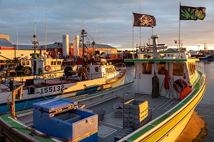 BATEAU DE PECHEUR AVEC UN DRAPEAU DD PIRATE CORSAIRE ET D'UNE FEUILLE DE CANNABIS, PORT DE PECHE AU COUCHER DU SOLEIL, CARAQUET, NOUVEAU-BRUNSWICK, CANADA, AMERIQUE DU NORD 