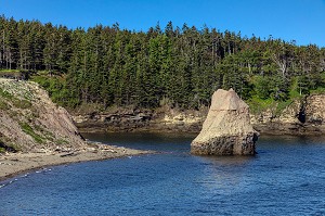 LA PLAGE ET LE ROCHER AUX OISEAUX DE POKESHAW, NOUVEAU-BRUNSWICK, CANADA, AMERIQUE DU NORD 