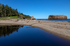 LA PLAGE ET LE ROCHER AUX OISEAUX DE POKESHAW, NOUVEAU-BRUNSWICK, CANADA, AMERIQUE DU NORD 