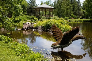 SCULPTURE VEGETALE D'UNE OIE BERNACHE EN VOL, MOSAICULTURE, JARDIN BOTANIQUE, EDMUNDSTON, NOUVEAU-BRUNSWICK, CANADA, AMERIQUE DU NORD 