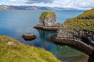 FALAISES DE ROCHES VOLCANIQUES NOIRES, ZONE DE NIDIFICATION DES GOELANDS, PRESQU'ILE VOLCANIQUE DE GRUNDARFJORDUR, PENINSULE DE SNAEFFELSNES DECRITE DANS LE ROMAN DE JULES VERNES, ARNARSTAPI, ISLANDE 