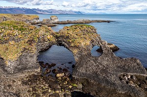 FALAISES DE ROCHES VOLCANIQUES NOIRES, ZONE DE NIDIFICATION DES GOELANDS, PRESQU'ILE VOLCANIQUE DE GRUNDARFJORDUR, PENINSULE DE SNAEFFELSNES DECRITE DANS LE ROMAN DE JULES VERNES, ARNARSTAPI, ISLANDE 