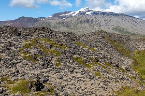 CONCRETION DE LAVE, PAYSAGE DE DJUPALONSSANDUR AVEC LE VOLCAN SNAEFELLSJOKULL RENDU CELEBRE PAR JULES VERNE, PRESQU'ILE VOLCANIQUE DE GRUNDARFJORDUR, PENINSULE DE SNAEFFELSNES, ISLANDE 