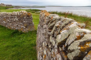 MUR EN PIERRE, TYPIQUE DES PAYSAGES DE LA CAMPAGNE ECOSSAISE, STROMNESS, ARCHIPEL DES ORCADES, ECOSSE, ROYAUME-UNI, EUROPE 