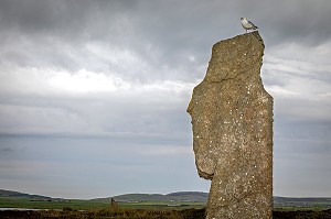 MEGALITHE EN FORME DE VISAGE HUMAIN, CERCLE DE BRODGAR, ANNEAU MYSTERIEUX DE MEGALITHES, STROMNESS, ARCHIPEL DES ORCADES, ECOSSE, ROYAUME-UNI, EUROPE 